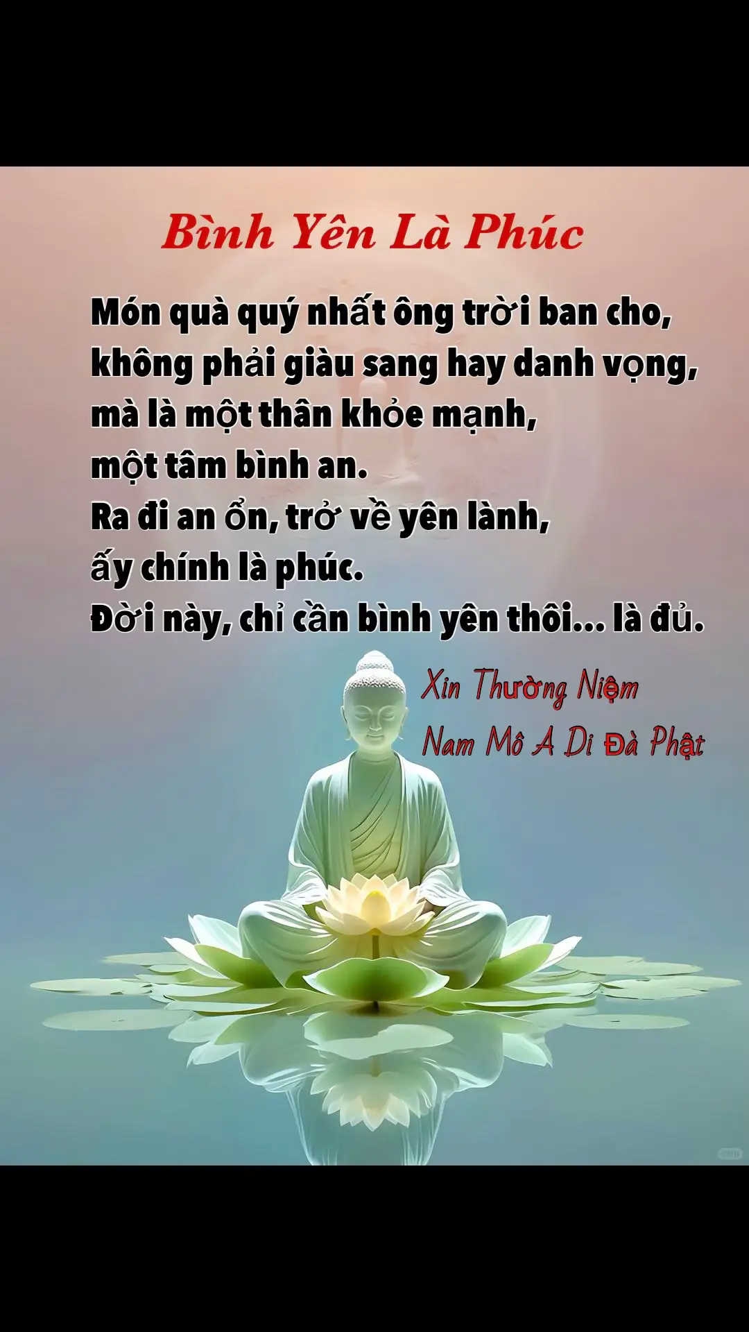 Nam Mô A Di Đà Phật!#nammoadidaphat #phatgiao #phatphap #phatphapvadoisong #phatphapvobien 