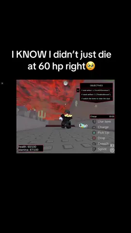 #fyp #fandom #meme #breakinandstealthingz #roblox 