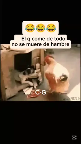 🇵🇪 C-G 🇵🇪 todo un personaje firulay 🐶😂