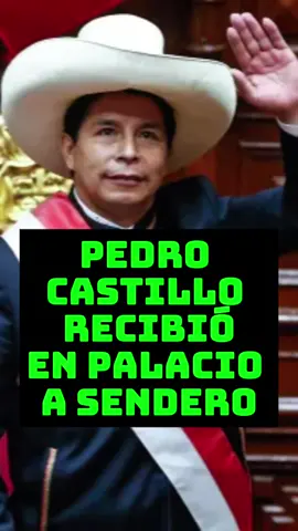 Yo no votaría jamás por ningún partido que tenga vínculos con partidos que no creen en l democracia ni en las libertades. #pedrocastillo #guillermobermejo #guidobellido #vladimircerrron #surielchacon 