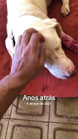 #anosatrás 