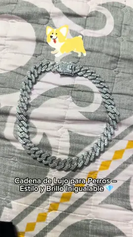 Silver Dog Chain Collar Diamondale un flow a tu perro con esta cubana de diamante #viral #fyp #parati 