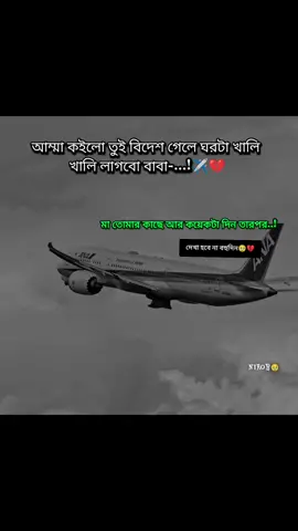 চিন্তা করো না মা বিদেশ যাচ্চি তো কি হইছে মরে তো আর যাচ্ছি না  তোমার সব স্বপ্ন না পারি অল্প কিছু স্বপ্ন হলেও আমি আমার জীবন দিয়ে পূরণ করব শুধু দোয়া করে যেও 🥹💔✈️#lebanon #tiktokbdofficial #foryou #viralvideo #fyppppppppppppppppppppppp 