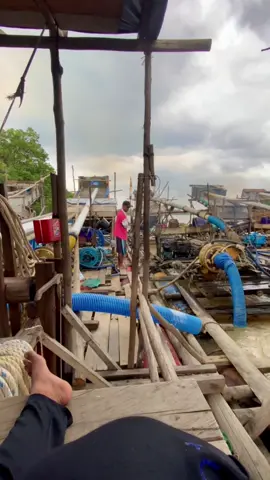 #fypage 🔥#kulisedot #penambangemas #katingan#fyppppppppppppppppppppppp 