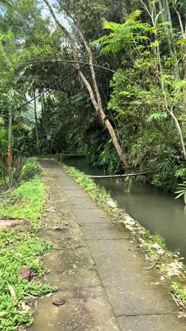 Njeguran njo😂😂 #fypp #fyppppppppppppppppppppppp #viraltiktok #xyzbca #purworejo24jam 