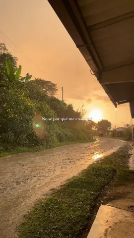 No sé por qué me enamoré si absurdo fue el querer que ella sentía…🥃#juliojaramillo #solouncigarrillo #popular #atardecer #paratiiiiiiiiiiiiiiiiiiiiiiiiiiiiiii 