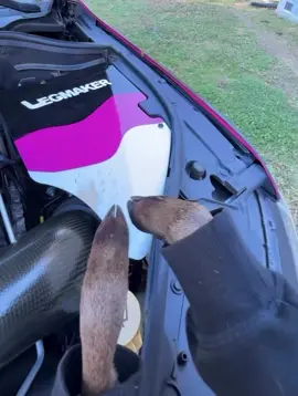 Need to paint my nails 🥲🫣😂 #trackhawk #hellcat #mopar #fyp #funny 