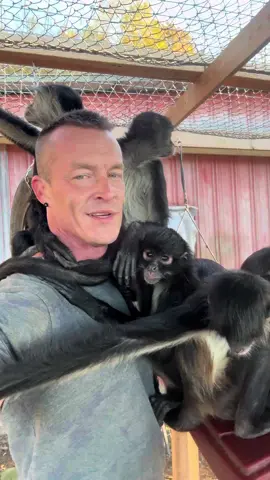 Thankful for you… and thankful for you support. It is needed, appreciate and makes an impact!  www.spartn.org/projects #monkey #monkeysoftiktok #spidermonkey #monkeys #spartn 