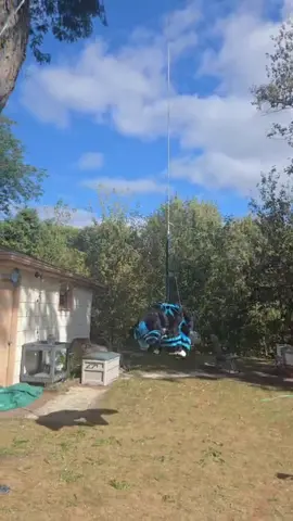 Swing 2.0 (OSHA approved version) #furry #swing #plushies #fursuit #daredevil 