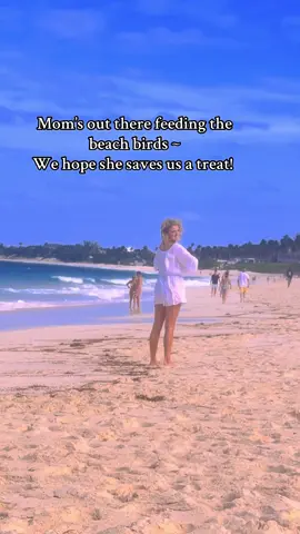 We go home to Chloe & Kobe tomorrow and mommas bringing them a treat home! 🍖 🦴 Nassau Bahama did not disappoint 🏝️ #bahamas #dogtreats #dogsoftiktok  #travellife #yorkie 