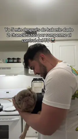 #parati #fyp #viral #frenchie 