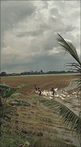 Quê tôi không có toà nhà cao tầng, không có khu vui chơi, giải trí…quê tôi chỉ có tiếng cười trong veo của trẻ thơ, đen đúa, quê mùa nhưng chưa bao giờ biết buồn. #canhqueyenbinh #hoainiem #tuoithotoi #boconganh #foryou 