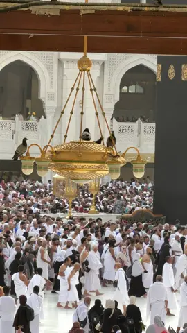 🕋🕋🕋🕋❤️‍🩹❤️‍🩹❤️‍🩹❤️‍🩹🤲اے میرے اللہ ہمیں اپنی محبت عطا فرما یا اللہ ہمیں اپنا قرب عطا فرما یا اللہ نیک لوگوں کی صحبت عطا فرما یا اللہ🥺❤️‍🩹❤️‍🩹