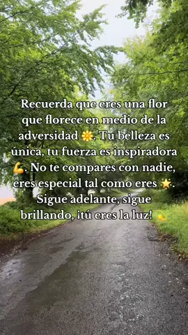 Recuerda que eres una flor que florece en medio de la adversidad 🌼. Tu belleza es única, tu fuerza es inspiradora 💪. No te compares con nadie, eres especial tal como eres 🌟. Sigue adelante, sigue brillando, ¡tú eres la luz! 💫 #frases✅ #reflexiones✅ #motivaciones✅  #LIVEIncentiveProgram #LIVERecognition 