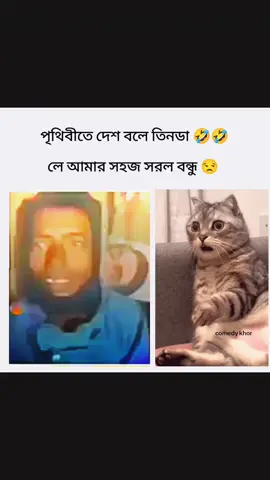 আমার সহজ সরল বন্ধু 🤣🤣🤣 দেশ বলে তিনডা 🤣🤣🤣#funnymoments #fannyvideos😁😂 #comedykhor #fannyvideo #funnymemes 