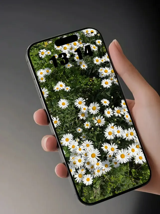 #8kwallpaper #4kwallpaper #wallpaper #foryoupage❤️❤️ #trending 