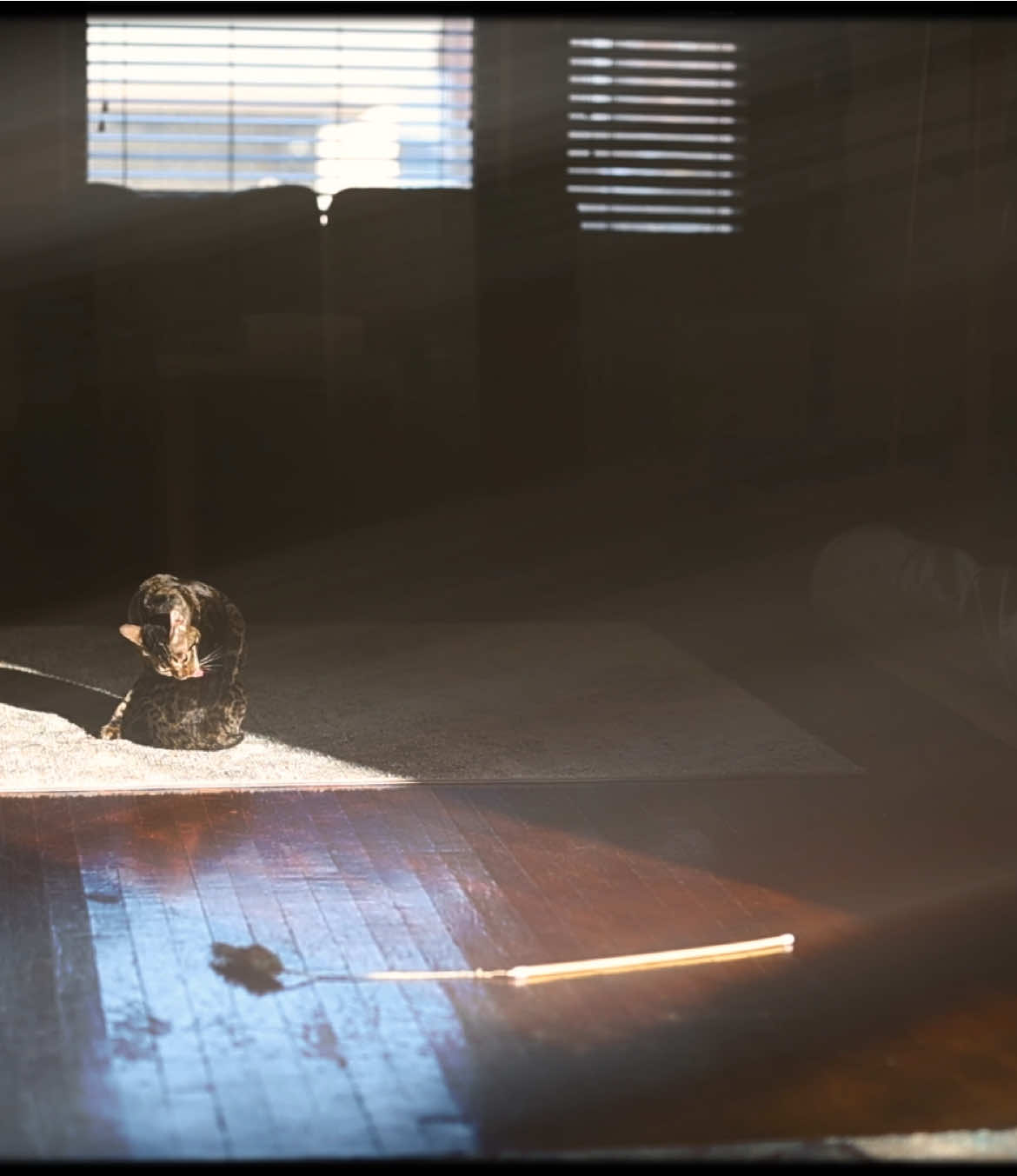 The song you’ll never forget. #cinematic #cinematography #Minecraft #videography #fyp 