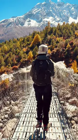 Cây cầu treo trước khi nào làng Samagaun #manaslucircuittrek #nepal #trekking #tsumvalley #leonui 