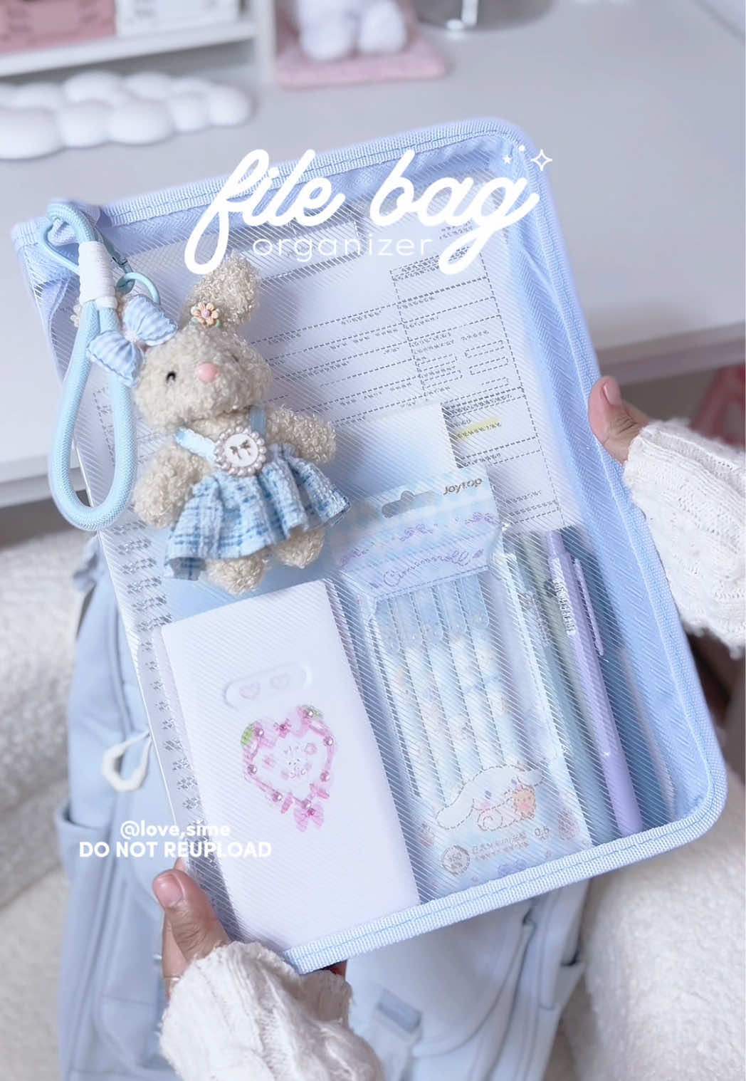 organize my file bag with me - blue edition🧸🩵✨ #fileorganizer #filebag #meshbag #documentorganizer #fileholder 