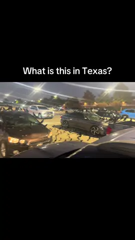 We’re visiting Texas. What the hell are these birds and what are they doing?#texas #america #dallas 