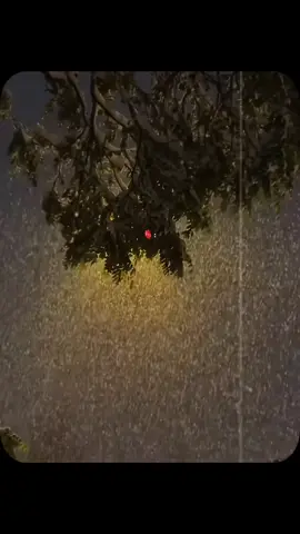 𝙏𝙪 𝙝𝙤 𝙟𝙚 𝙢𝙚𝙧𝙖 𝙙𝙪𝙖 𝙢𝙖𝙣𝙜 𝙠𝙚 𝙖𝙖𝙣𝙖 𝙮𝙖𝙖... 🤲❤🌸