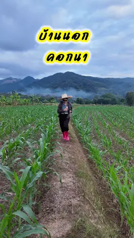 บ้านนอกคอกนา วิวสวยมากๆ 