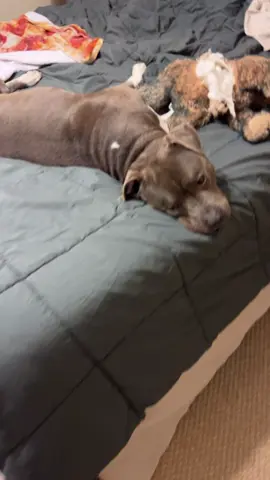 Praying for one of our YouTube subscribers and their cat Mason. #pray #with #us 