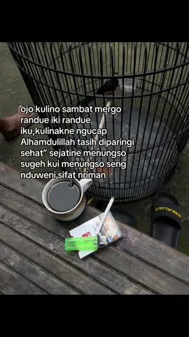 😇😇 #muraibatu #beranda #fyp 