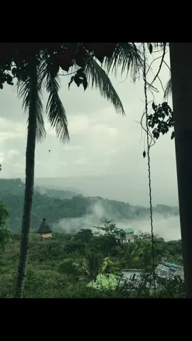 #fyp #lospalos 🌬️