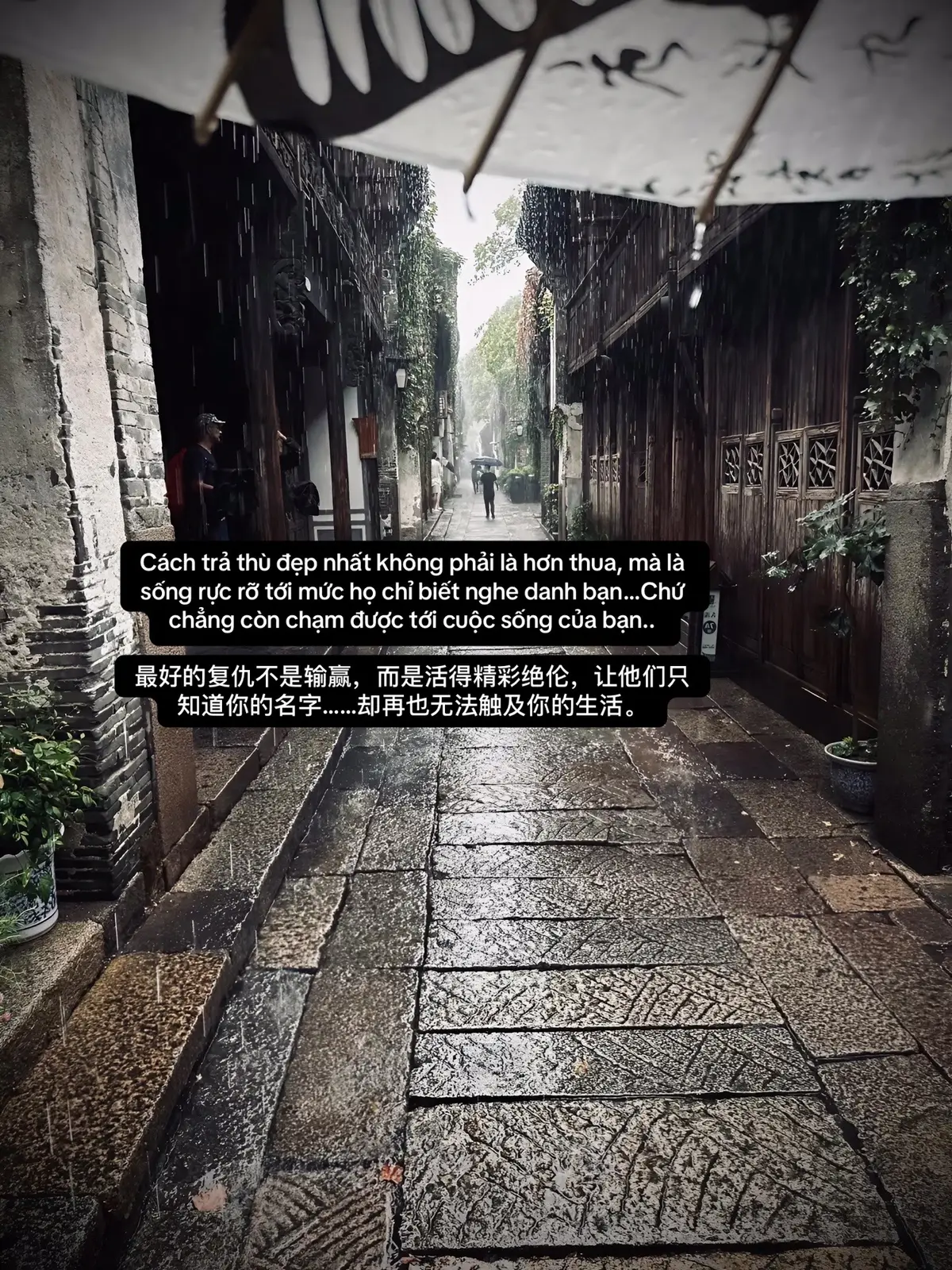 最好的复仇不是输赢，而是活得精彩绝伦，让他们只知道你的名字……却再也无法触及你的生活。