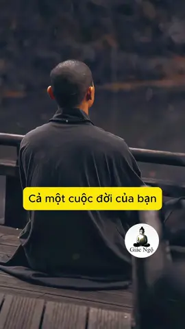 Cả một cuộc đời của bạn, có bao giờ bạn dành thời gian cho chính bạn chưa !!! #adidaphat #phatphapnhiemmau #thichtueman #chudaibi #chanhniem 