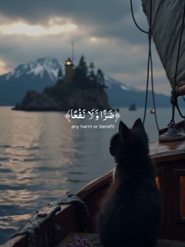 Surah Younas Muhammad Dibirov #allah #holyquran #اسلام_صبحي القران_الكريم #quran 