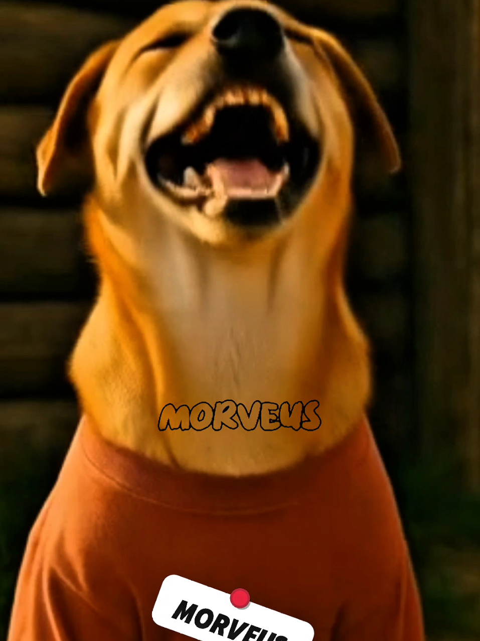 Chindo, chimay 😂 #komedianjing  #anjingdanbabi 