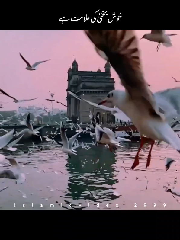 𝐓𝐞𝐞𝐧 𝐁𝐚𝐭𝐞 𝐊𝐡𝐮𝐬𝐡 𝐁𝐚𝐠𝐡𝐭𝐢 𝐊𝐢 𝐀𝐥𝐚𝐦𝐭 𝐇𝐚𝐢𝐧 *ʳᵉᵖᵒˢᵗ* . . . #islamicvideos #fouryou #growaccount 