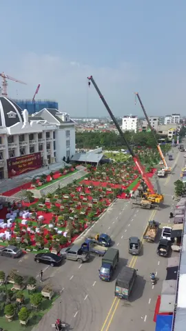 Festival đất tổ 2025#xuhuongtiktok 