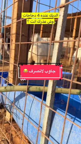 #المزرعة_السعيدة #الرياض #موسم_الرياض #كايد #الخميس 