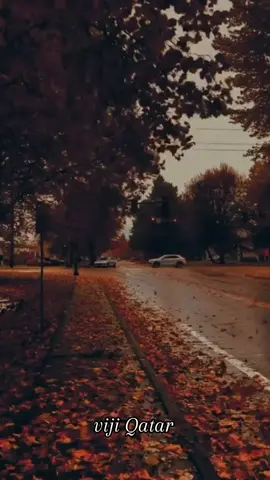 #പ്രണയംനിന്നോട്മാത്രം🕊️🕊️❤️❤️❤️ #തൃശ്ശൂർക്കാരൻ💪❤️ #ഗുരുവായൂരപ്പൻ🙏🙏🙏 #qatar2022 