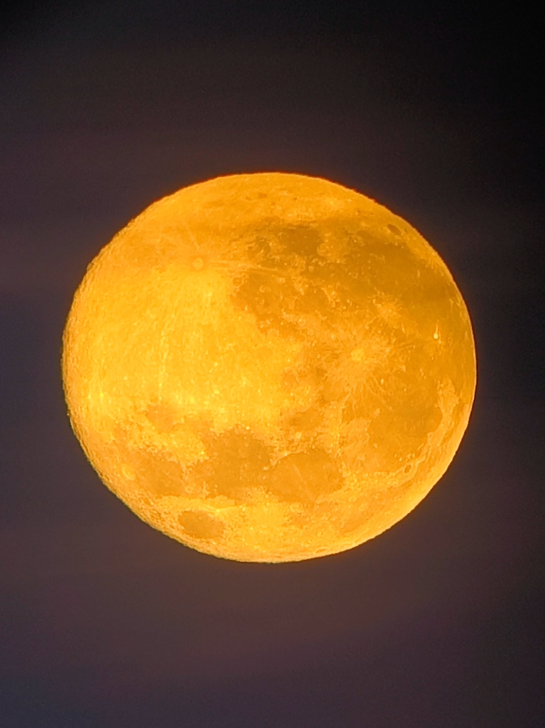 Luna llena de noviembre, también conocida como súper luna, la más grande del año. . . . . . . . . . . . . . . . . . . . . . . . . . . . . . . . . . . . . . . . . . . . . . . . . . #superluna  #lunallena  #fullmoon  #celestron  #astrofotografia 