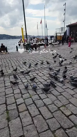 🌹صباح الخير 🌹