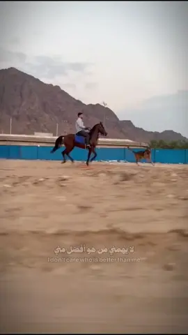 #الخيل_عشق_لاينتهي🐎❤️اذكرو_الله_💕 #الخيل_من_خيالها #الخيل_من_خيالها_خيل_عربي_اصيل #المدينة_المنورة♥️🌴  