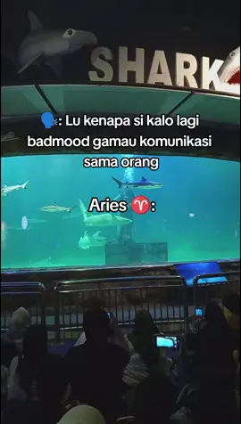 #aries♈️ #arieszodiac #zodiac #fyp #4u 