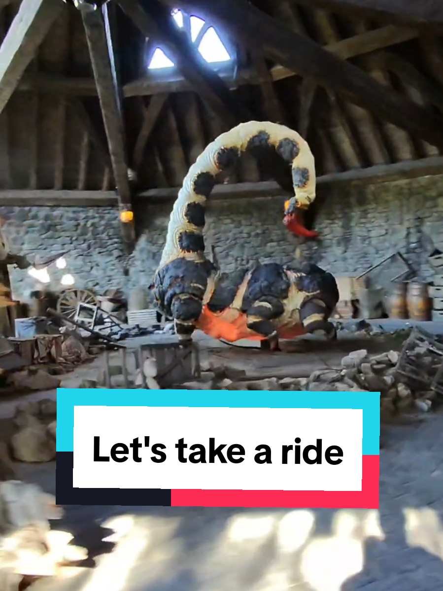 Islands of Adventure has the best coasters.   #universalstudios #harrypottertiktok #rollercoastertiktok @Universal Orlando Resort 