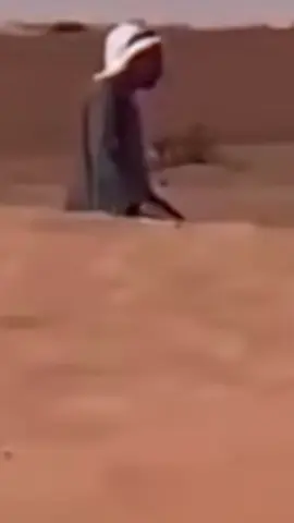 كلنا فداء لامير المؤمنين محمد بن زايد