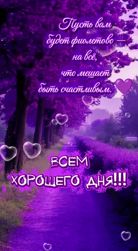 #сегодня #эстетика #хорошегодня #рекомендации 