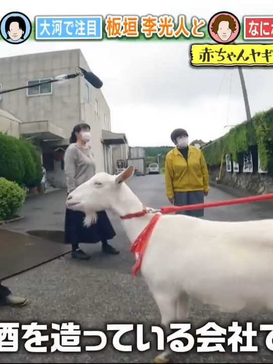 駐車場にある黒い口紅は予感は当たりますか？