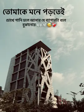 তোমাকে মনে পড়তেই চোখে পানি চলে আসার ব্যাপারটা বল বুঝানোর মত না 😅❤️‍🩹 #foryou #foryoupage #trending 