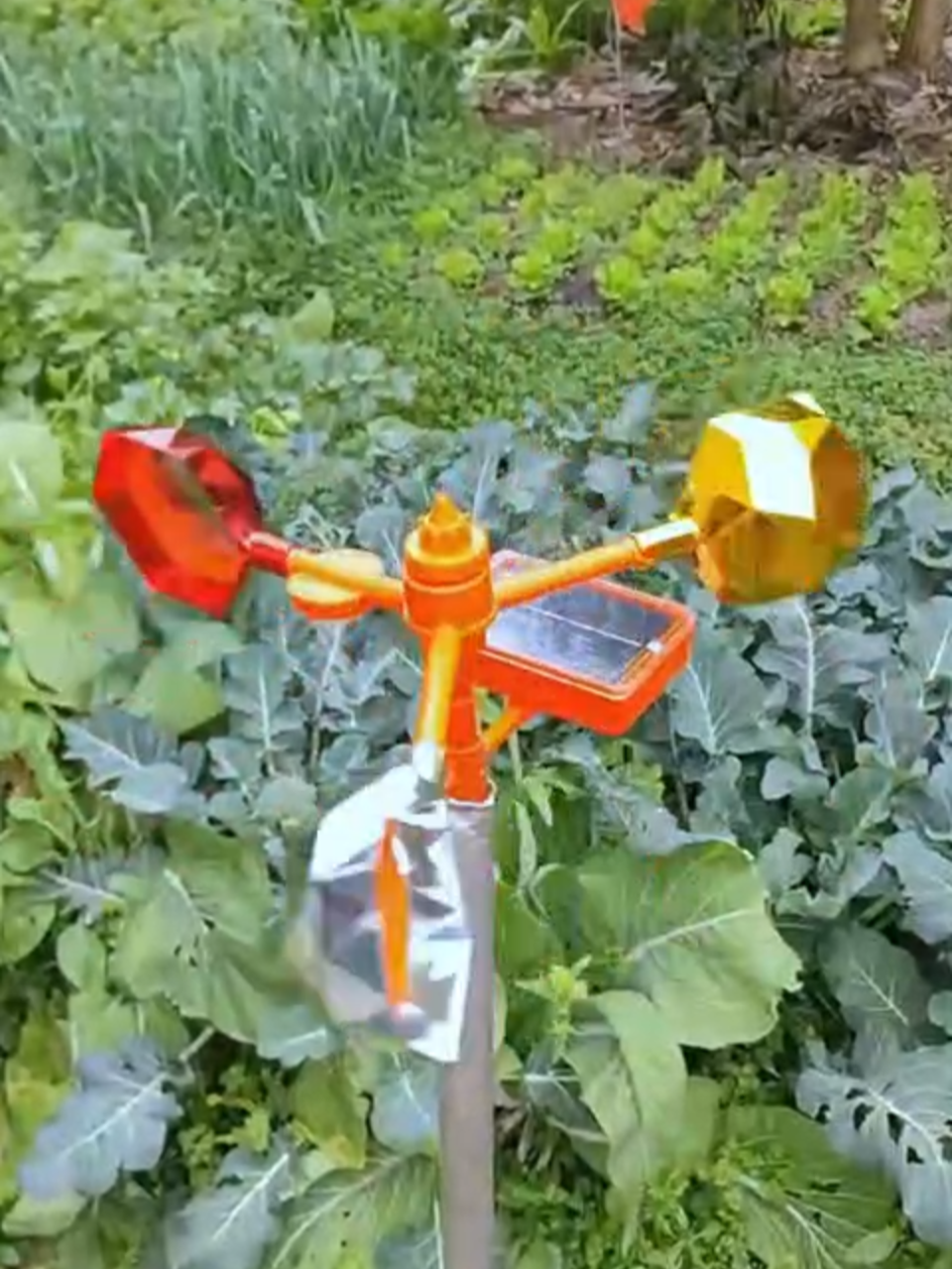 Bird Repeller #trending #Manila #viral #bird #farming