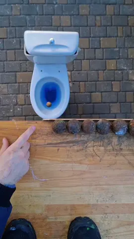 #asmr #asmrsounds #asmrvideo 