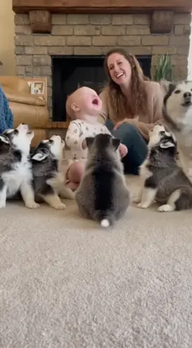 Baby Enjoy With Dog End Seen So Funny 🤣 #baby #babydog #adoreble #enjoy #funnybaby  #funny 