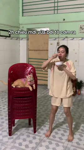 Tất cả là tại con mèo  #cothonnudandatencam #xuhuongtiktok #meo #rap 